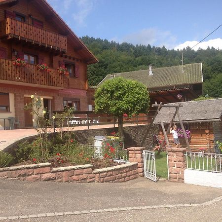 Gites Les Pins Et Les Bruyeres Wangenbourg-Engenthal Exterior photo