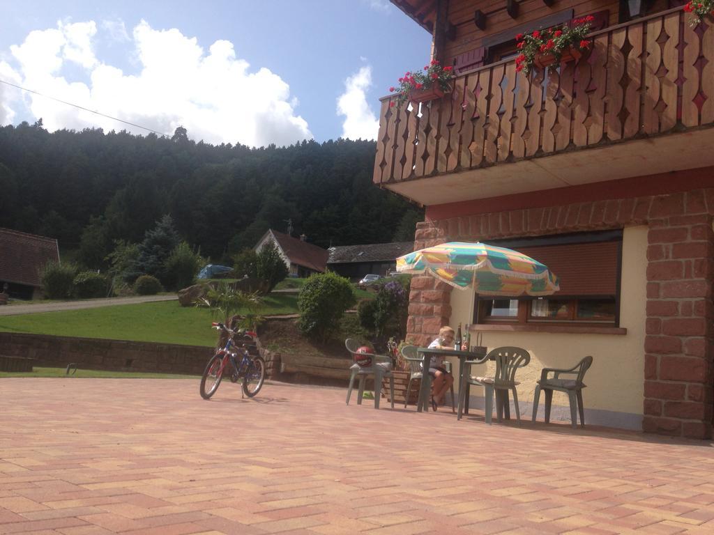 Gites Les Pins Et Les Bruyeres Wangenbourg-Engenthal Exterior photo