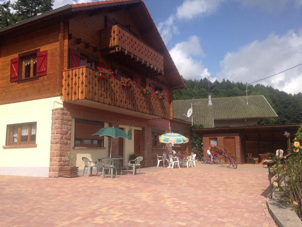 Gites Les Pins Et Les Bruyeres Wangenbourg-Engenthal Exterior photo